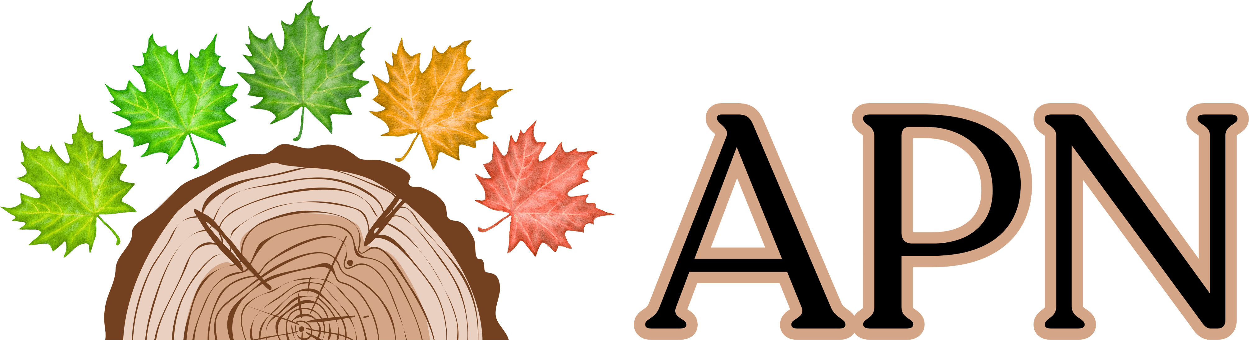 APN
