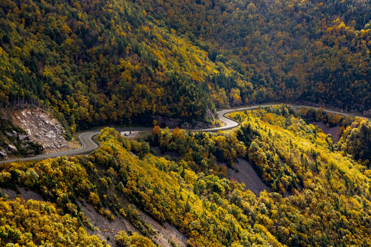 Aerial view of the Cabot Trail winding through a forested valley in Cape Breton, Nova Scotia, surrounded by autumn foliage in shades of gold, yellow, and green.